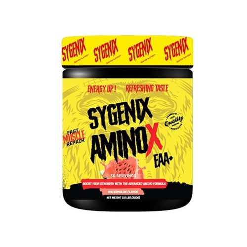 Sygenix AminoX 300 gr