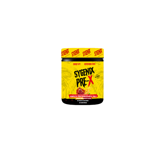 Sygenix Pre-X Pre Workout 300 gr